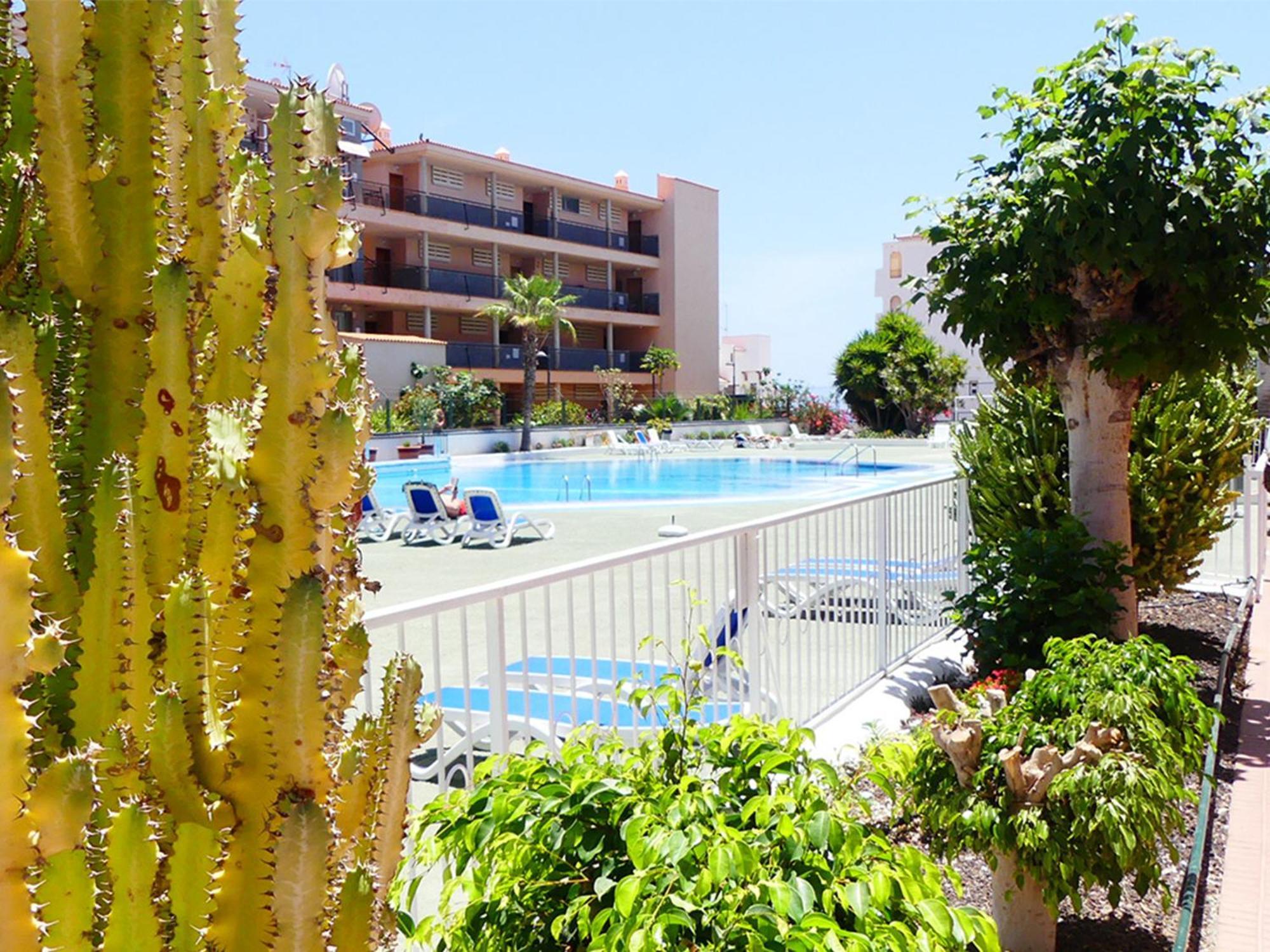 Apartment Encantador Con Terraza, Cristianos *